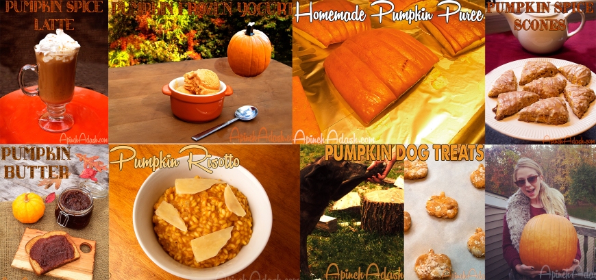 Fall Favorites: Pumpkin Edition apinchadash.com